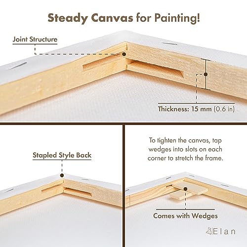 Stretched Canvases Multi-Pack Blank Canvas for Painting O495