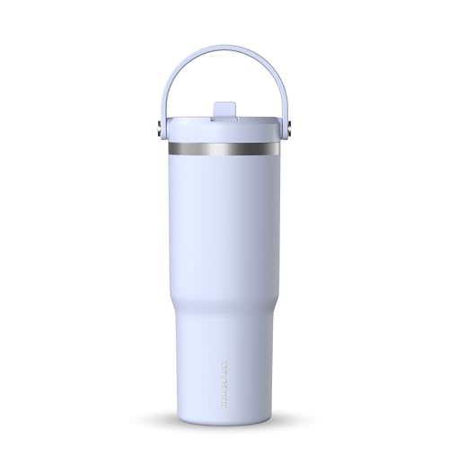 24 oz Stainless Steel Tumbler with Handle and Straw Lid F655850