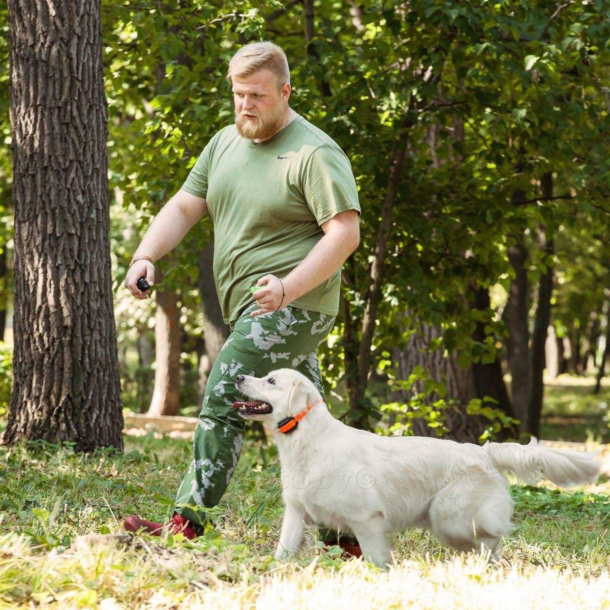 Dual Dog Training Shock Collar for 2 Dogs X413386