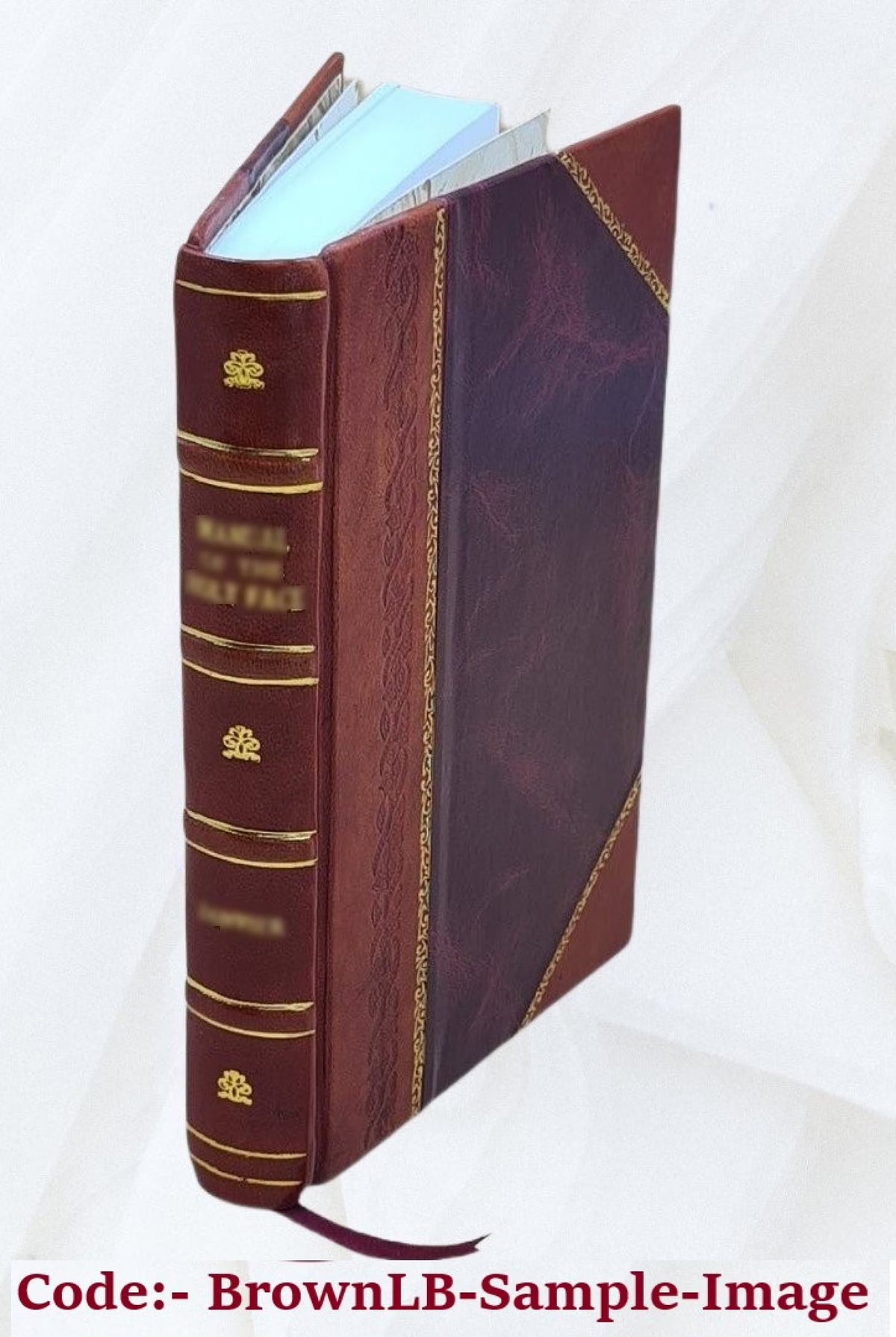 Leather Bound Book P446152