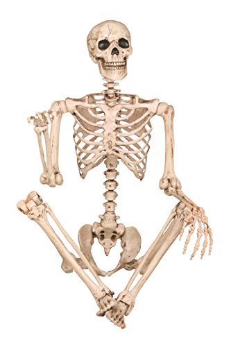 5 FT Poseable Skeleton Halloween Decoration Q556337