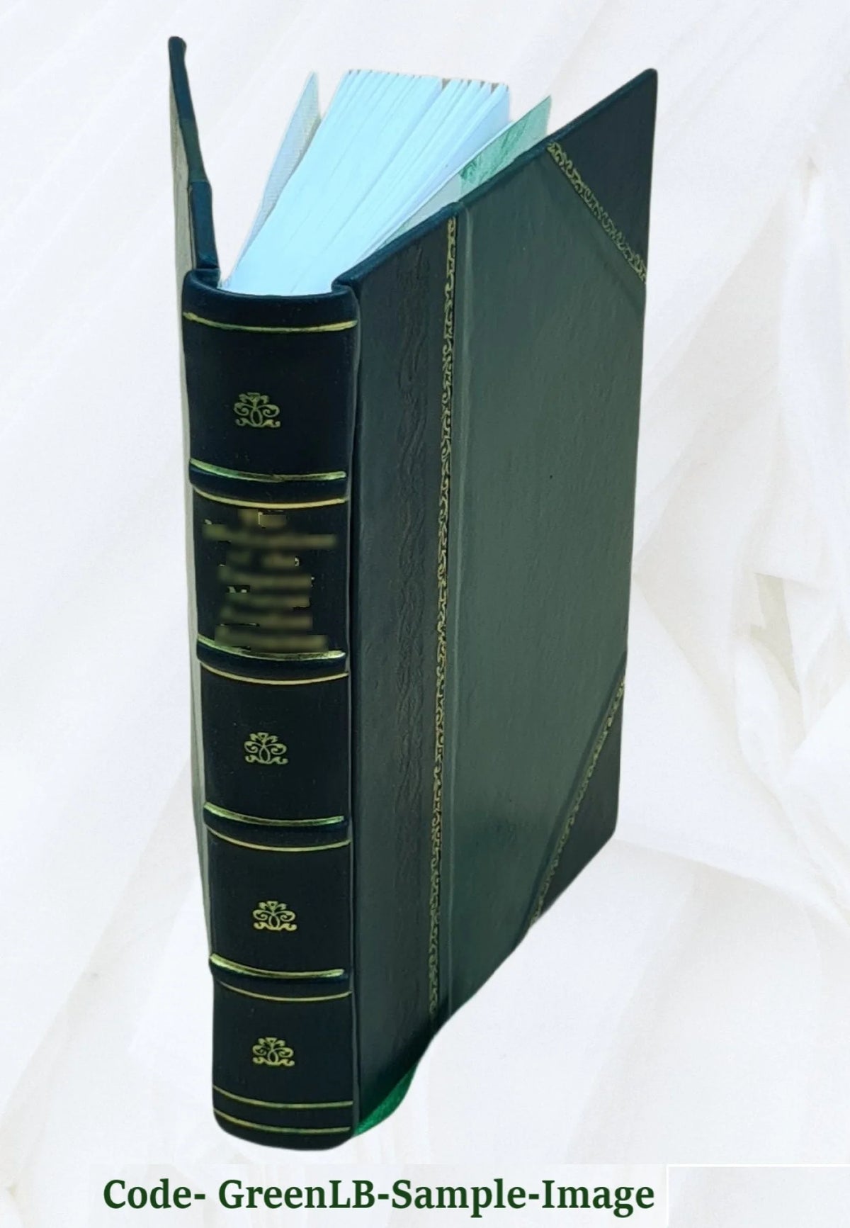 Leather Bound Book P446152