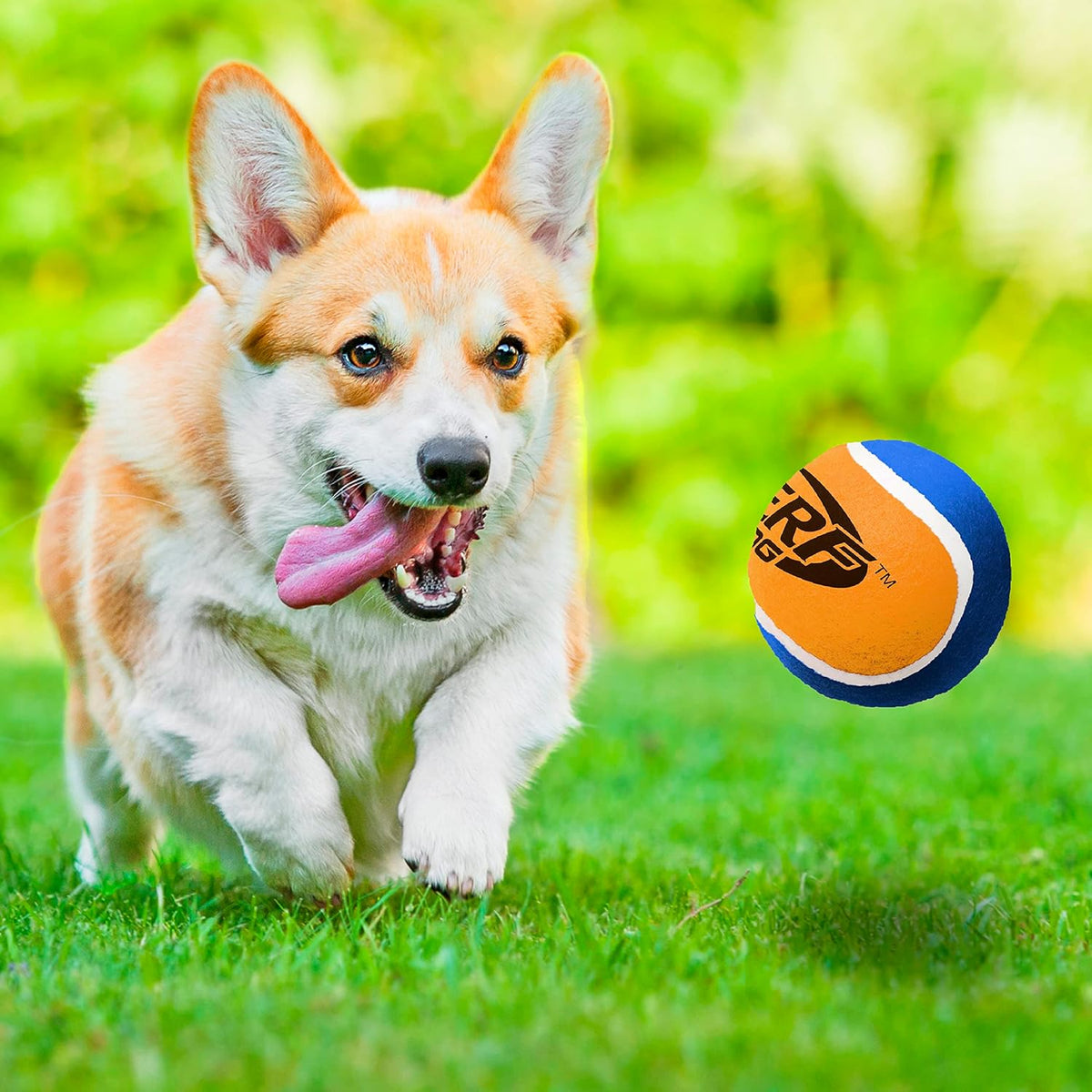 Tennis Ball Dog Toys, 3 Inches, Two Pack W31534