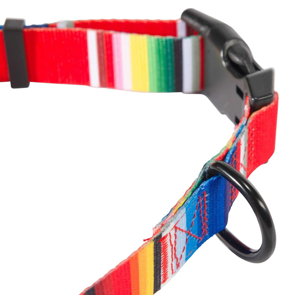 Dog Collar O419