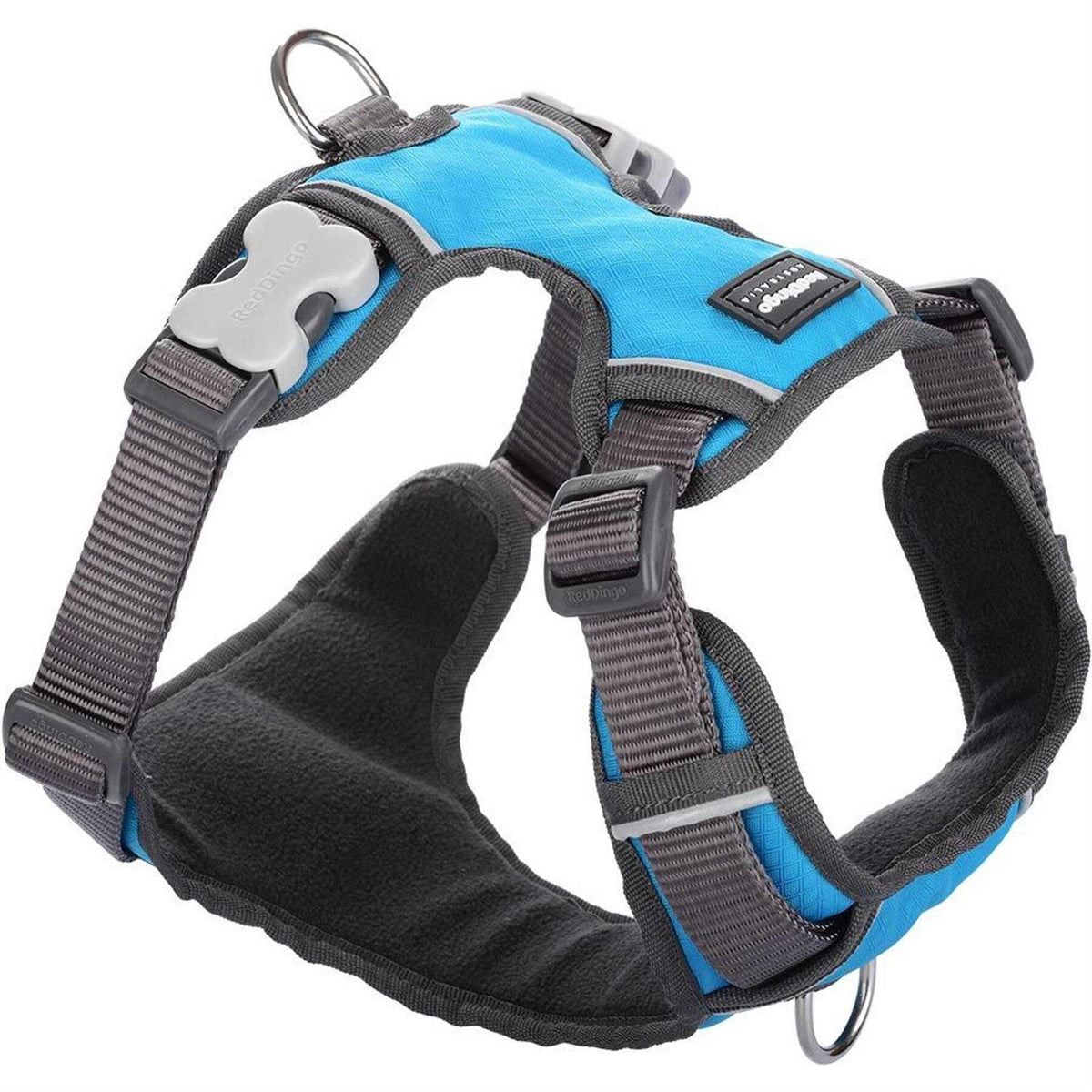 Red Dingo Padded Dog Harness D660533