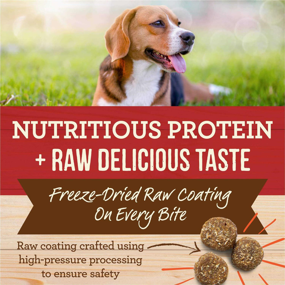 Healthy Grains Freeze Dried Raw Coated Dry Dog Food Brown Rice Recipe J636242
