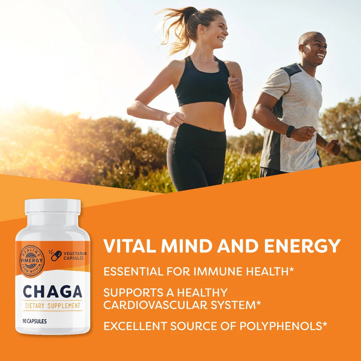 Chaga Mushroom Capsules N521465