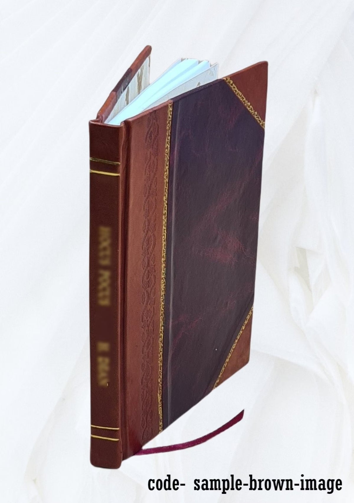 1925 Leather Bound Book T289669