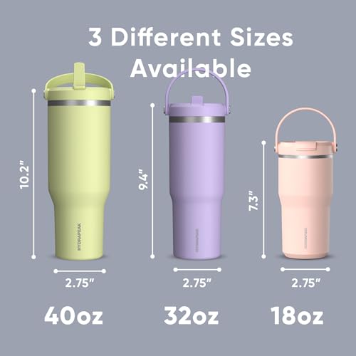 24 oz Stainless Steel Tumbler with Handle and Straw Lid F655850