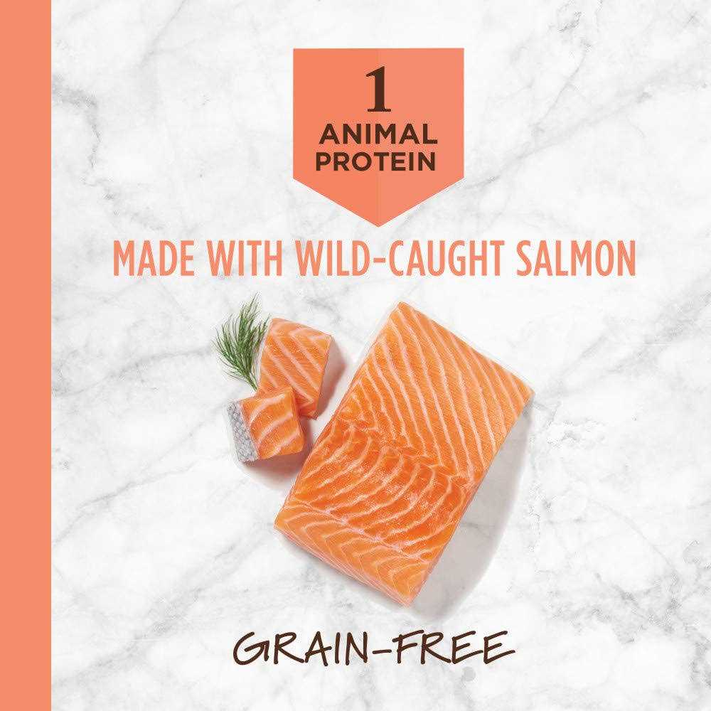Limited Ingredient Grain-Free Salmon Dry Dog Food Z74096
