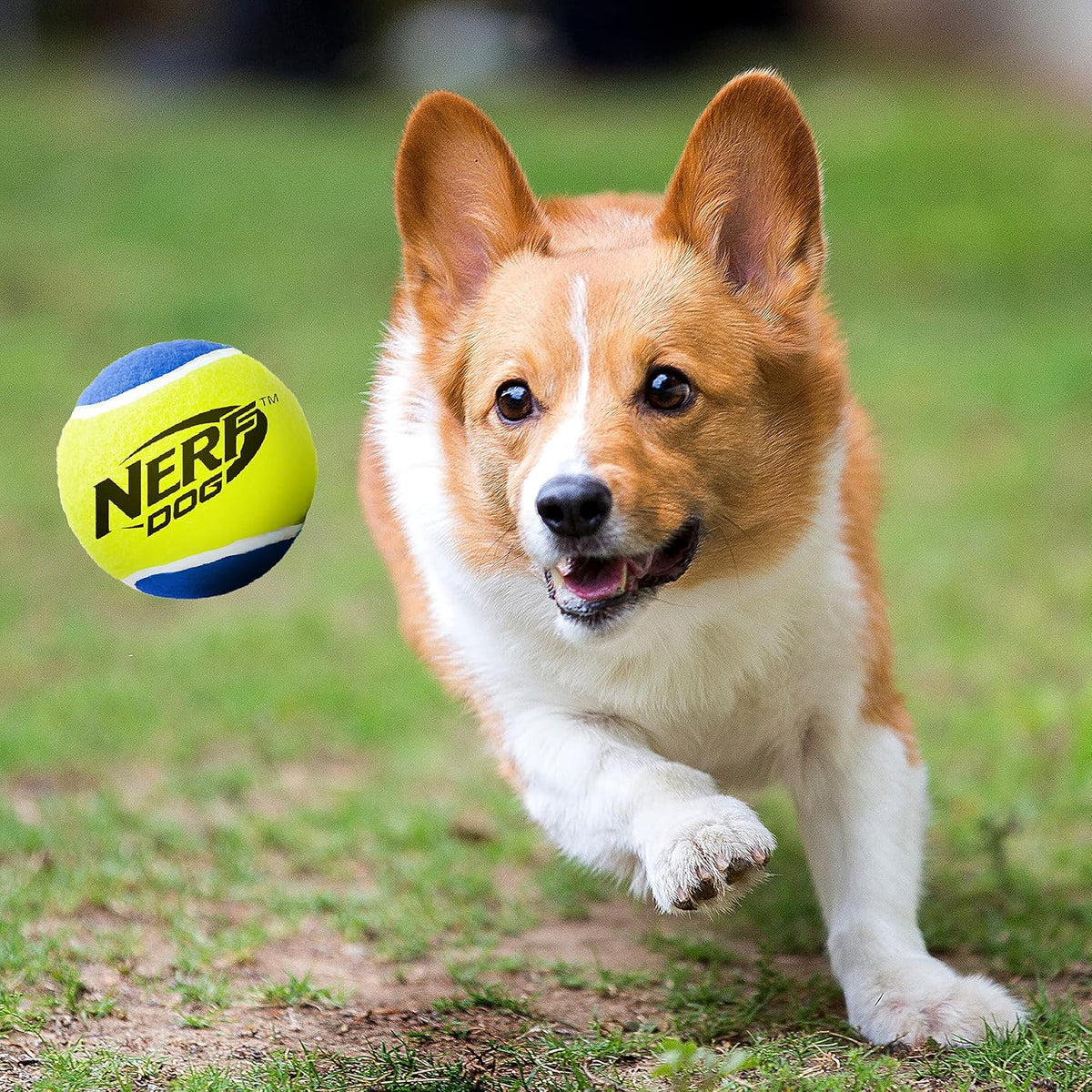 Tennis Ball Dog Toys, 3 Inches, Two Pack W31534