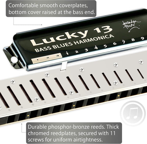 13 Holes Diatonic Harmonica C key K646402