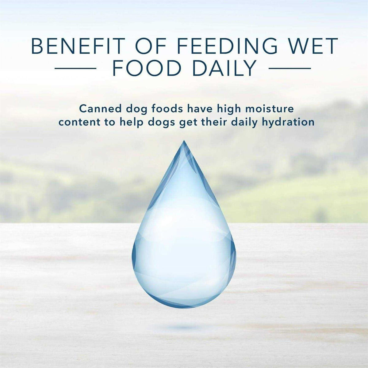 Chicken Dinner Wet Dog Food D365348