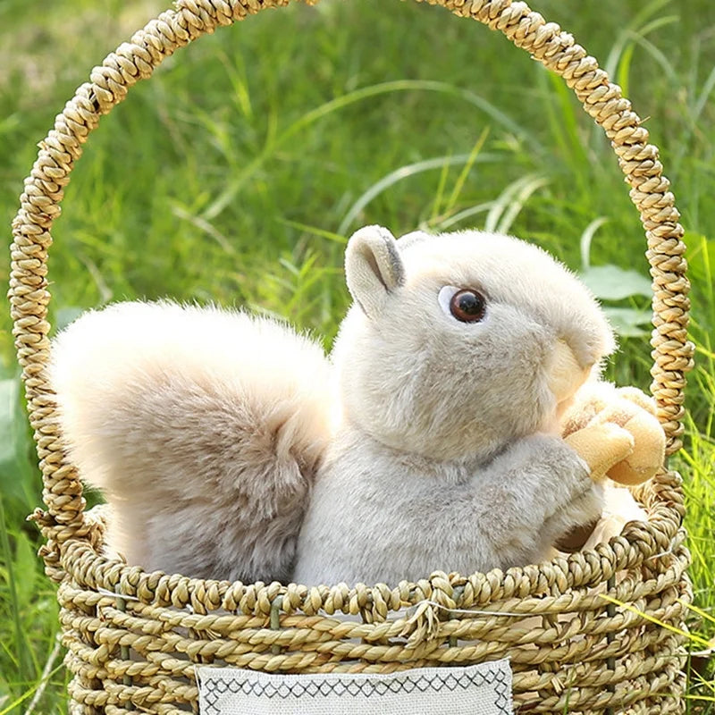 20cm Plush Squirrel Stuffed Doll Throw Pillow X404818