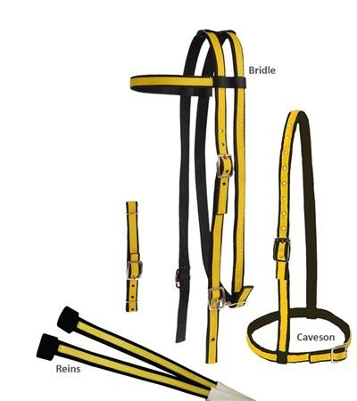 Two Tone Race Bridle Set N724106