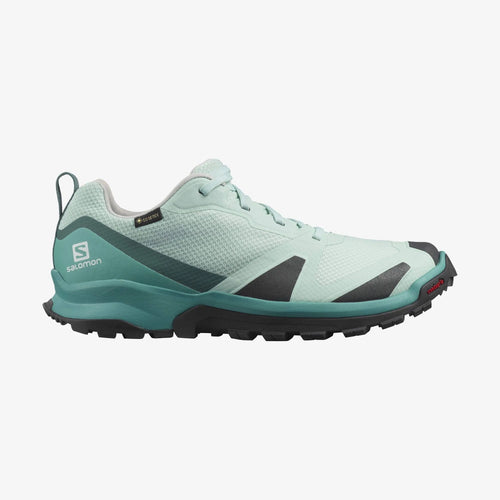 10.5 Goretex Hiking Shoes C43102