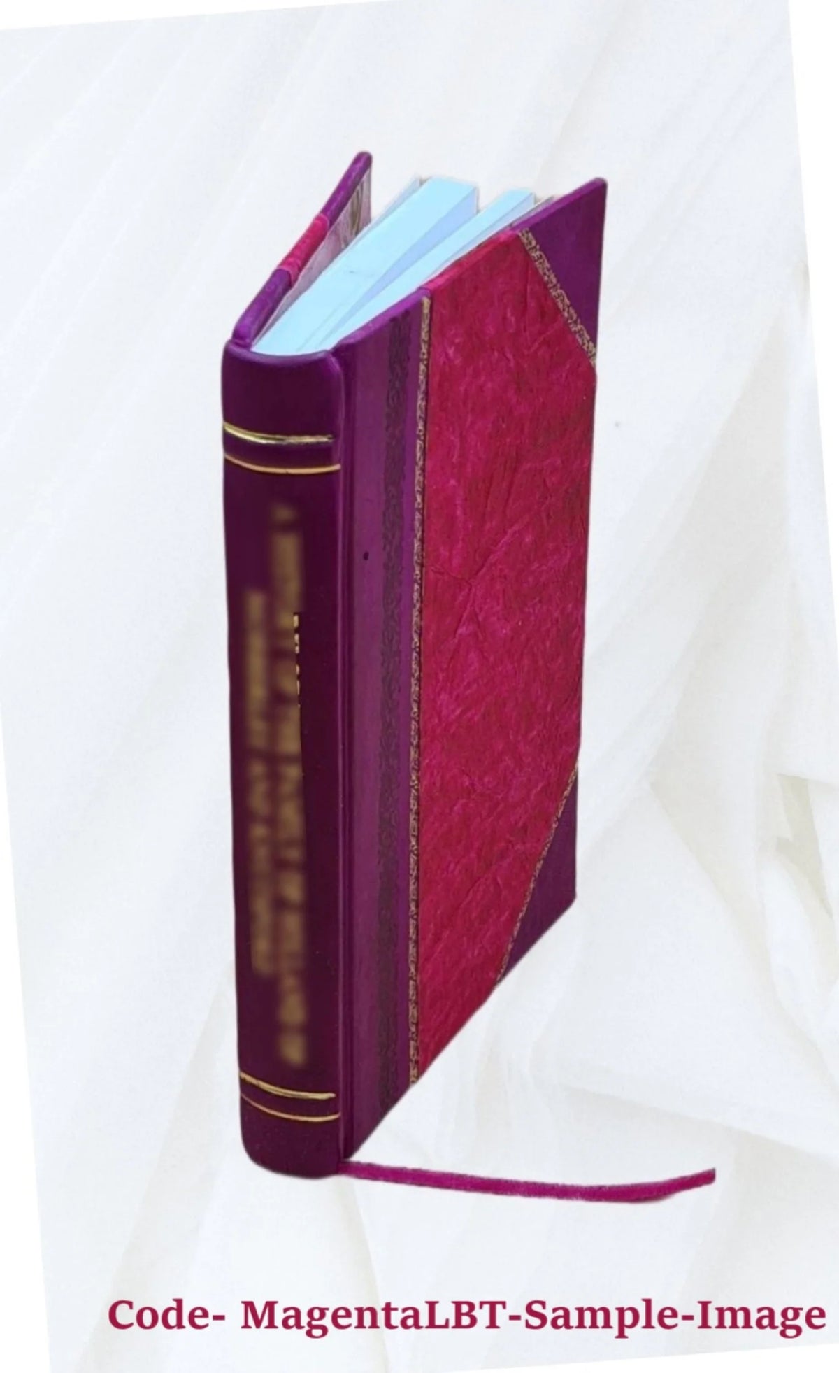 1925 Leather Bound Book T289669