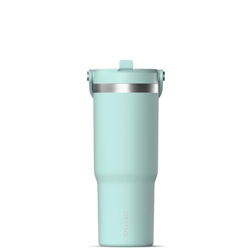 24 oz Stainless Steel Tumbler with Handle and Straw Lid F655850
