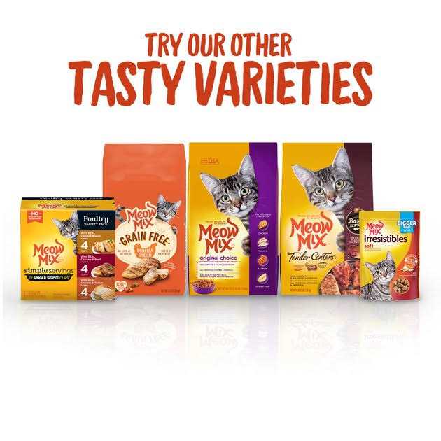 Cat Treats Soft P728