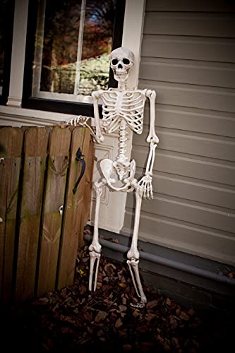 5 FT Poseable Skeleton Halloween Decoration Q556337