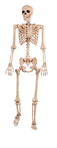 5 FT Poseable Skeleton Halloween Decoration Q556337