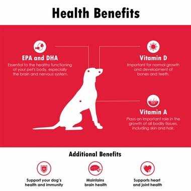 Softgel Capsules for Large Dogs P9703