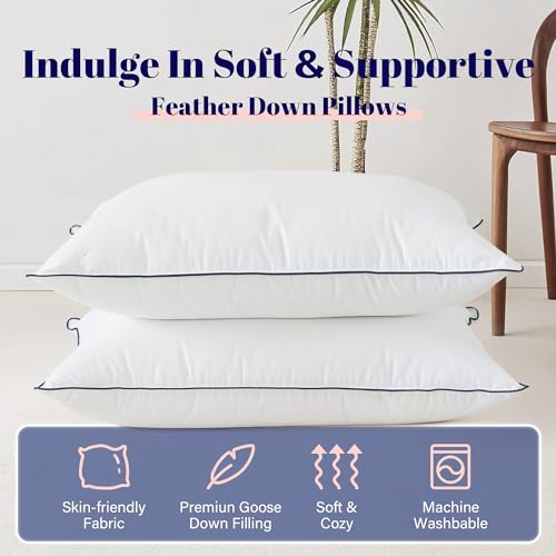 King Size 2 Pack Goose Feather and Down Bed Pillow, 20x36 Inches N87403