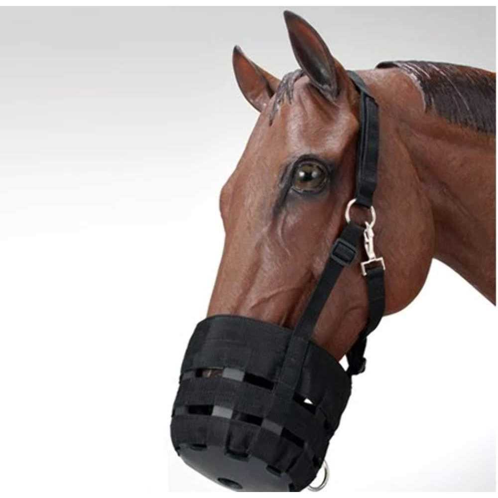 Nylon Halter Grazing Muzzle G913