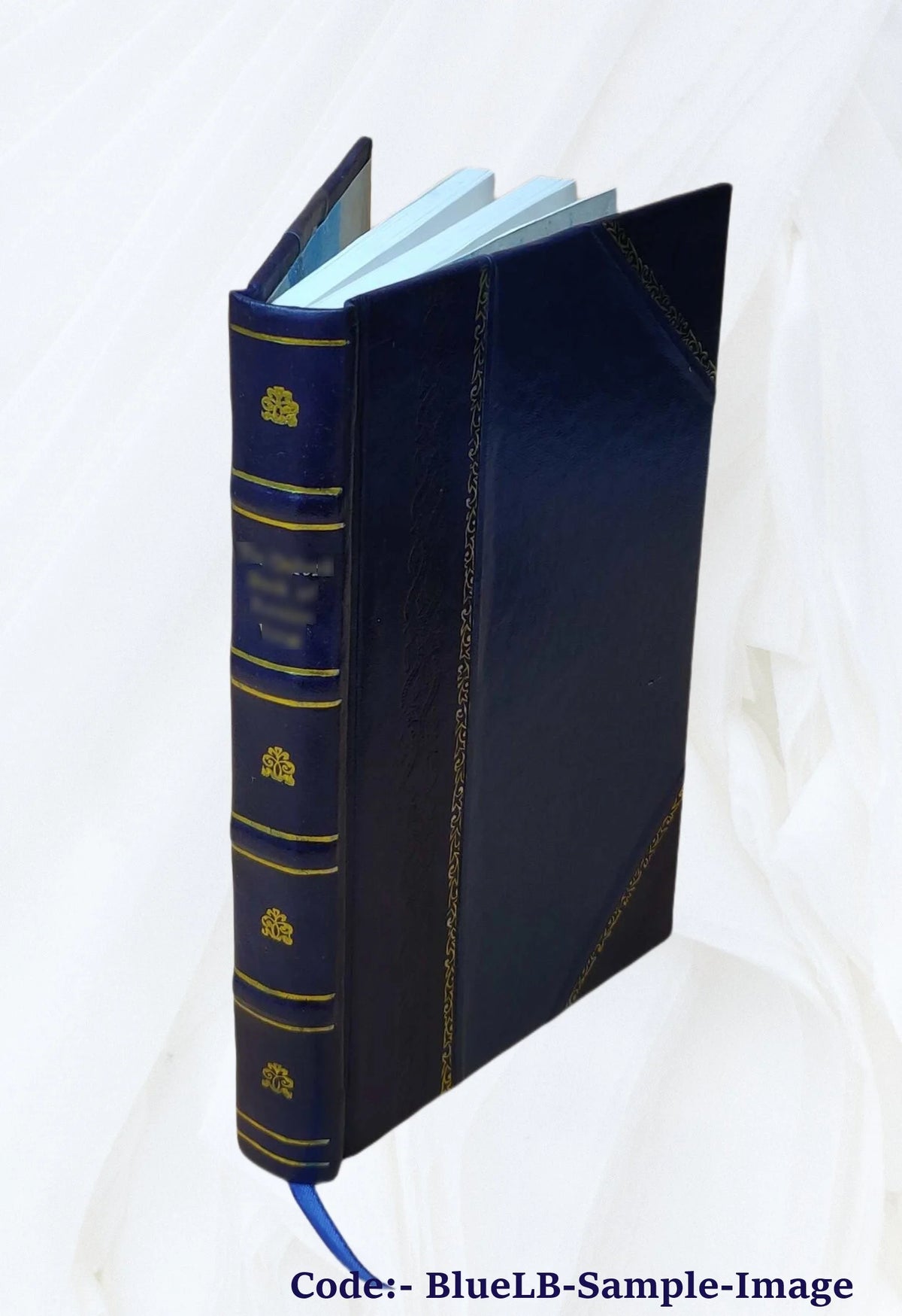 Leather Bound Book P446152