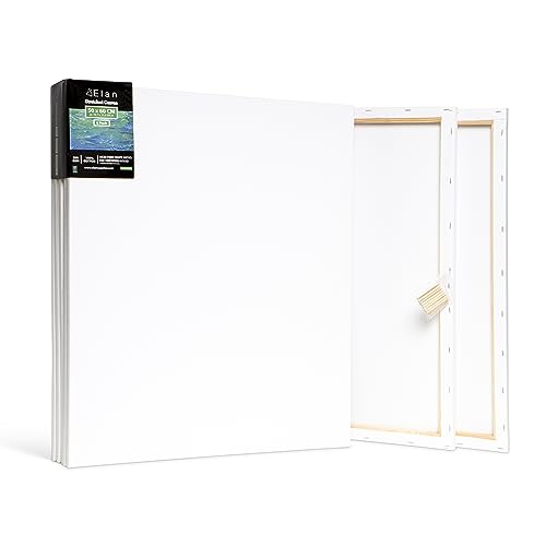 Stretched Canvases Multi-Pack Blank Canvas for Painting O495