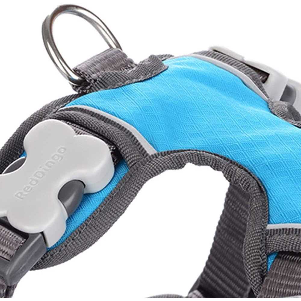 Red Dingo Padded Dog Harness D660533
