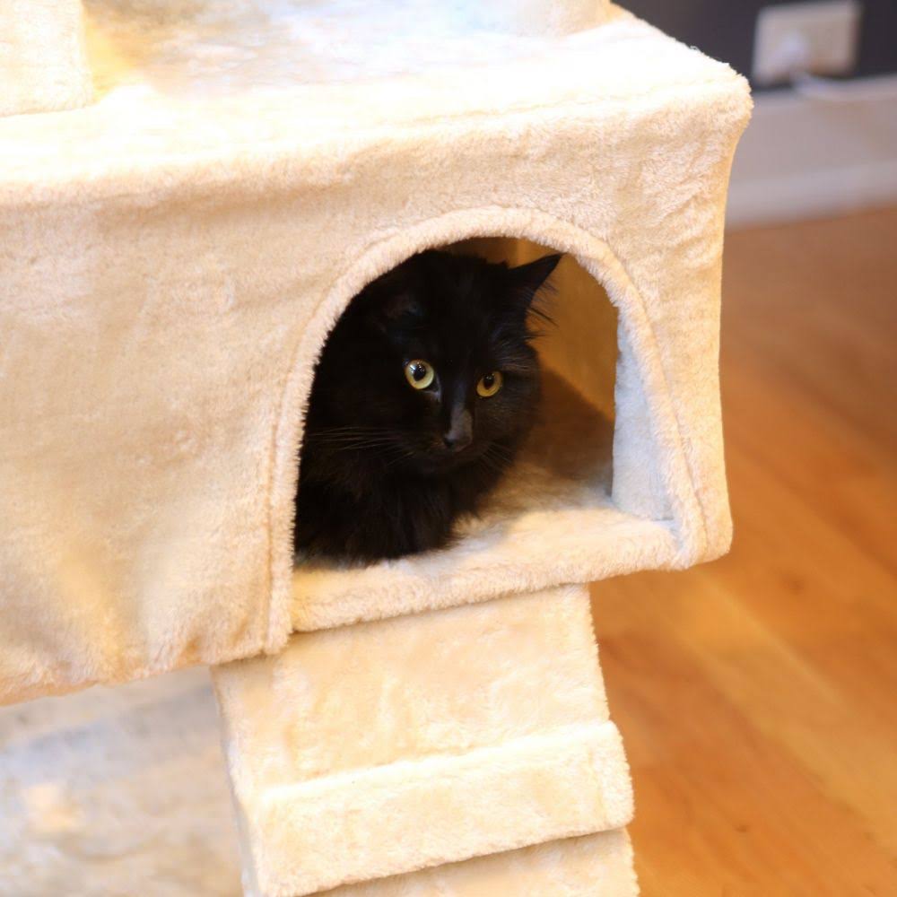 Beige 72 in. Cat Tree Y74654