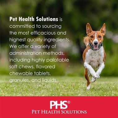 Softgel Capsules for Large Dogs P9703