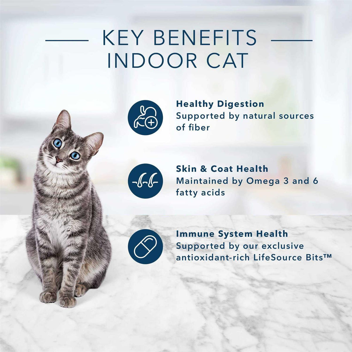 Adult Dry Cat Food S1368