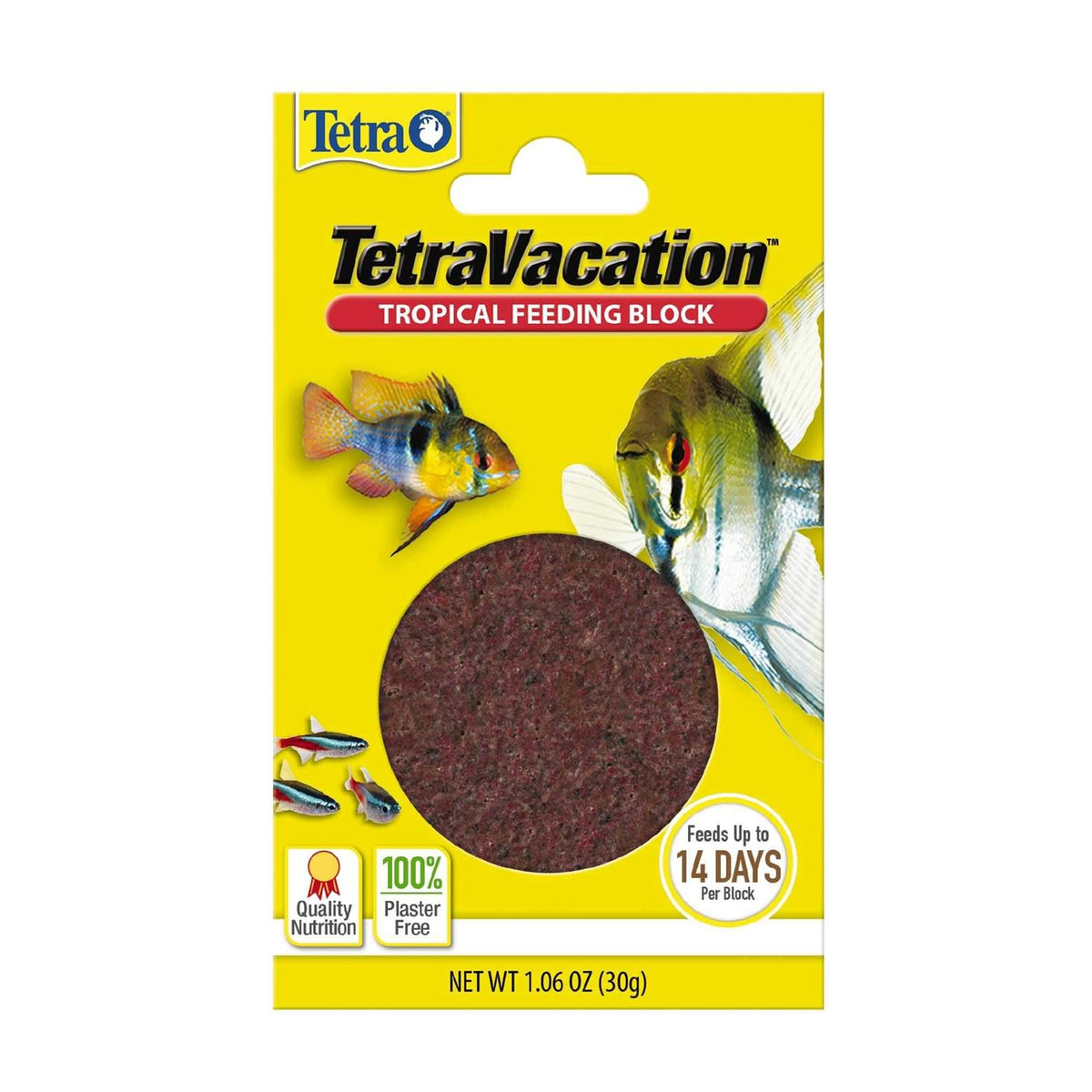 Tropical Slow Release Feeder I3956