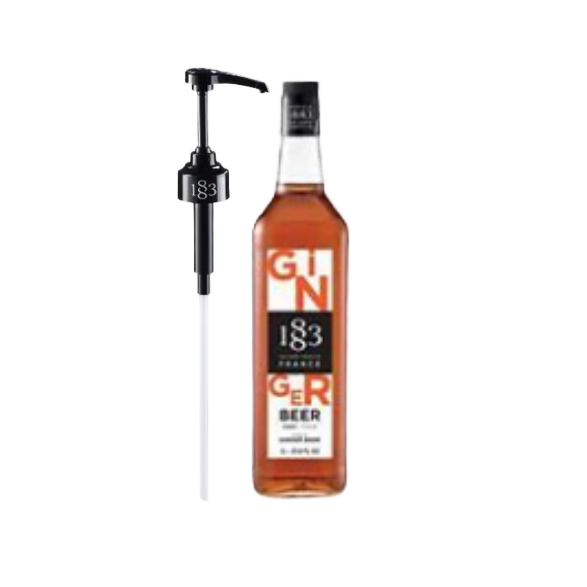 1883 Maison Routin Ginger Beer 1L Plus Pump H675792