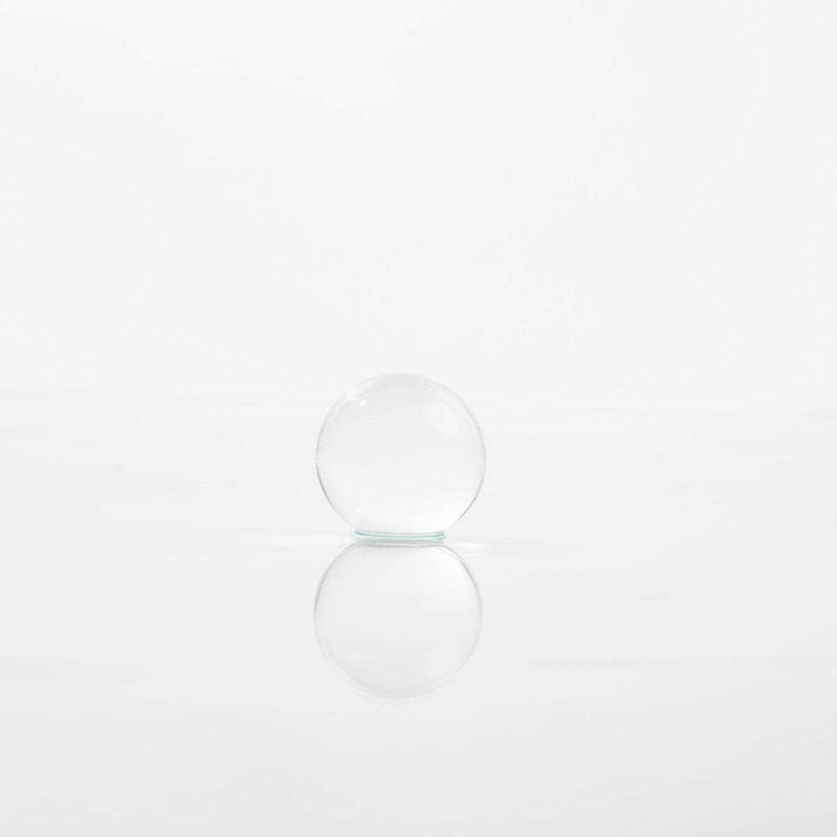 Bacteria Supplement J4781