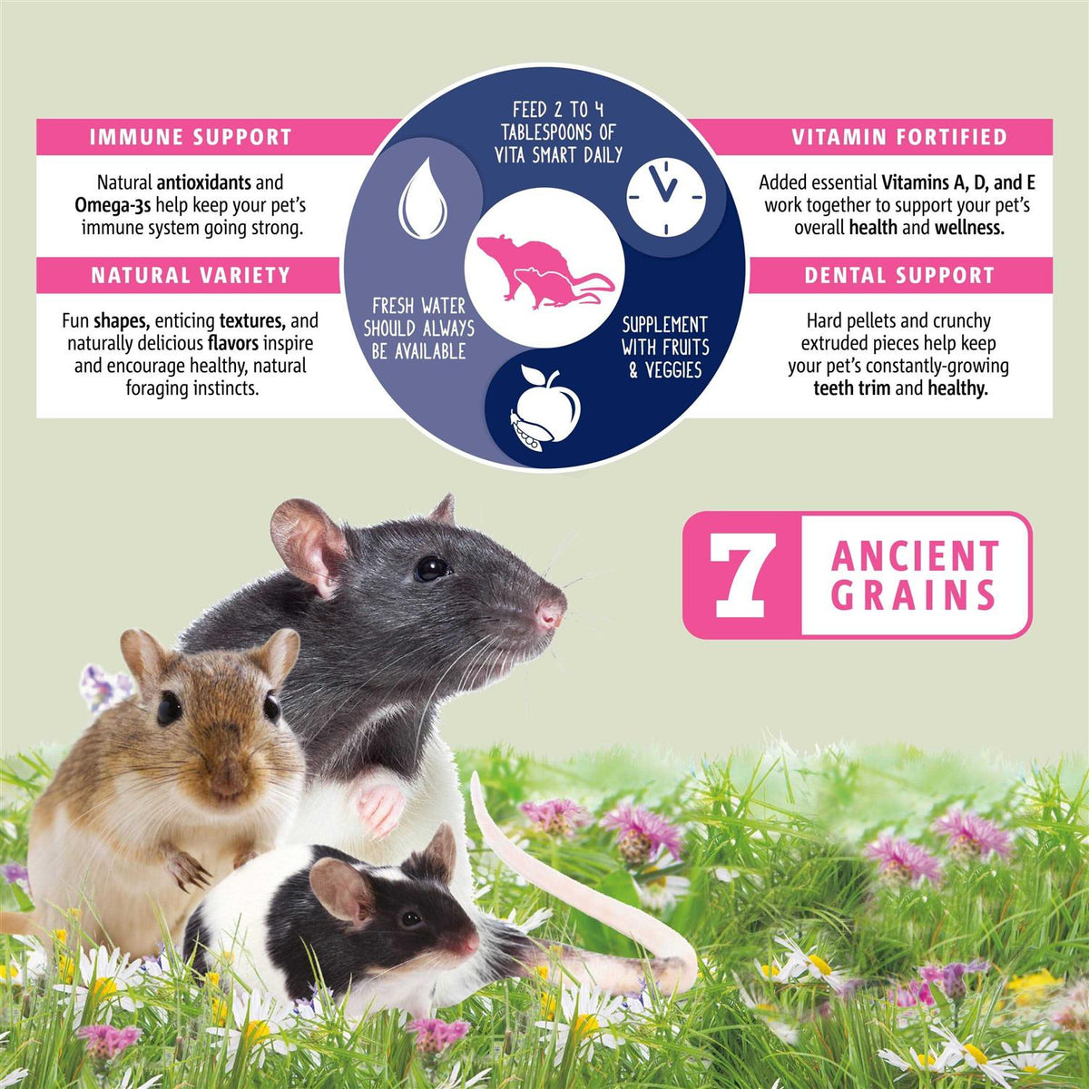 Natural Forage Blend Rat O30752