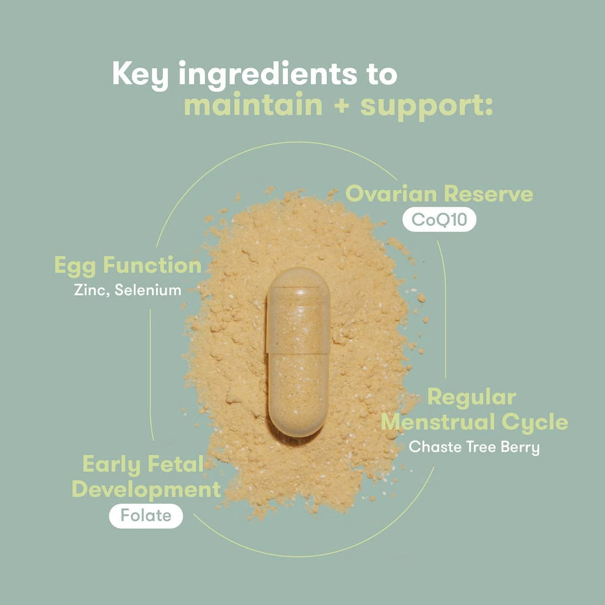 Pre-Conception Supplement Set 60 capsules E1530