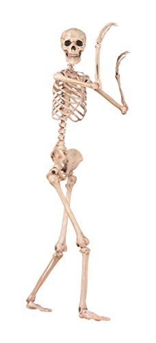 5 FT Poseable Skeleton Halloween Decoration Q556337